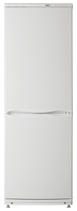 картинка Холодильник ATLANT ХМ 6024-031 в  интернет-витрине сети магазинов бытовой техники "ЮСТ" в г. Пенза